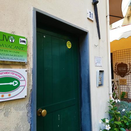 Casa Vacanza L'Ulivo Albenga Eksteriør billede